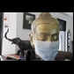 thumbnail Même mon boudha a masqué sa zénitude.....